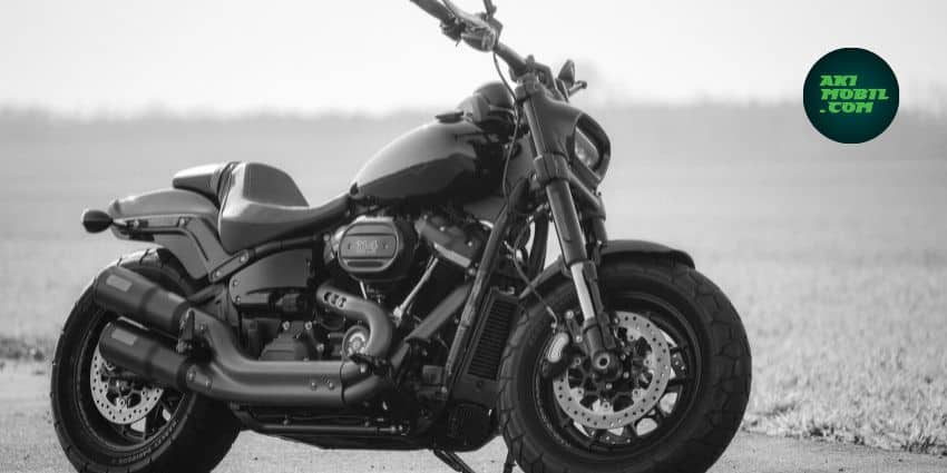 Harley Davidson Sportster 48